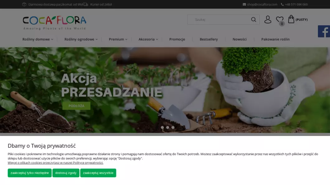 Sklep z roślinami CocaFlora - podgląd