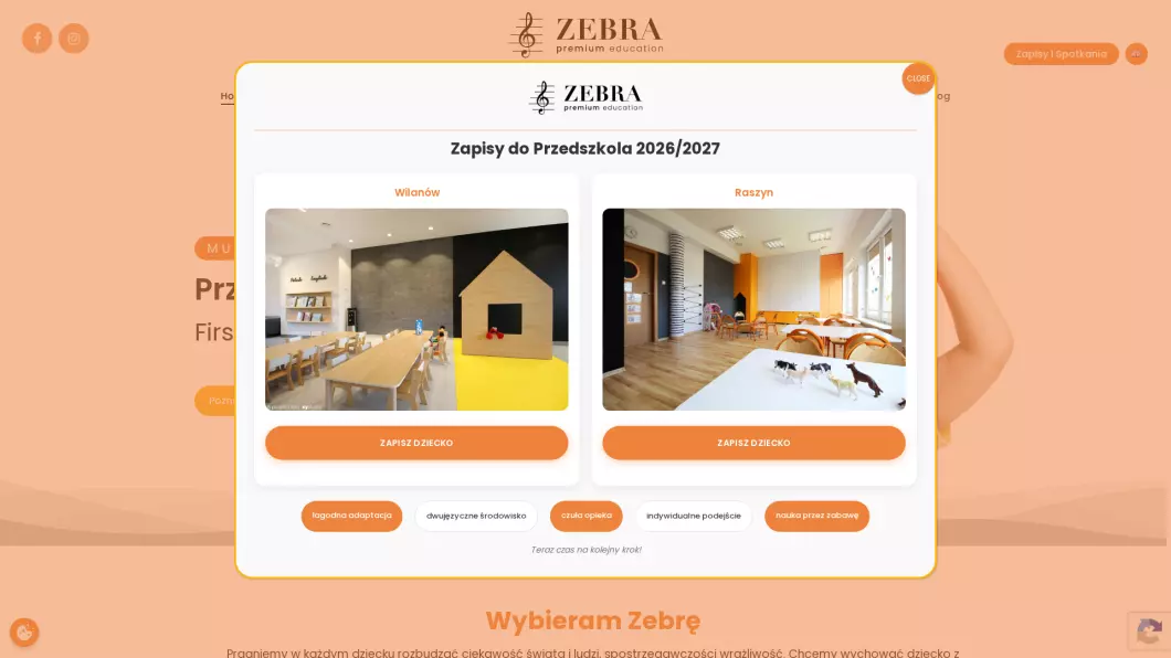 Przedszkole ZEBRA - podgląd